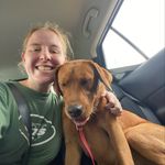 Jennifer Cowan - @jennnifercowan - Instagram