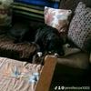 Jennifer Cox - @jennifercox1005 - TikTok