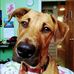 Jennifer Craft - Facebook