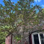 Jenifer Curtis - @jenthehen1999 - Instagram