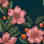 Jennifer Curtis - @pacific_nw_illustration - Instagram