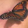 Jennifer Daly - @jennifer.daly3 - TikTok