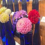 Jennifer Jones Downs - @jennifer.downs.9085 - Instagram