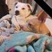 Jennifer Doyle - Facebook