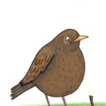 Jennifer Doyle - @billytheblackbird - Instagram