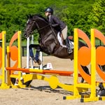 Jennifer Doyle - @jenniferdequestrian - Instagram