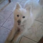 Jeniffer Floyd - @jeniferfloyd2003 - Instagram