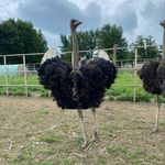 Jennifer Giles - @repurposedparadise1 - Instagram