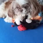 Jennifer Jaramillo - Facebook