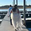Jennifer Johnston - @jenniferjohnston39 - TikTok