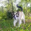 jeniferking957 - @jeniferking957 - TikTok