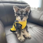 Jennifer King - Facebook