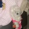 Jennifer King - @jennifer.king933 - TikTok