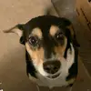 Jennifer Kline - @jenniferkline95 - TikTok
