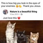 Jennifer Meyer - Facebook