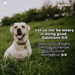 Jenifer Mohan - Facebook