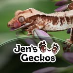 Jennifer O'Connor - @jensgeckos - Instagram