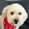 Jennifer O’Connor - @joc1127 - TikTok