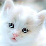 Jenifer Roy - @jenifer.roy.505 - Instagram