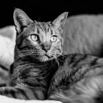 Jenifer Smith - @jenifersmithphoto - Instagram