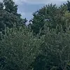 jenifer_smith - @jeniffersmith123 - TikTok