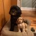 Jenifer Stein - Facebook