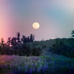 Jenifer Sullivan & Megan S - @lavenderlightsevents - Instagram