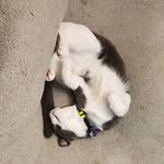 Jenifer Sullivan Kloppel - @jsul0804 - Instagram
