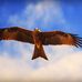 Jenish George Photographs - JGP - Facebook