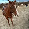 Jenn Bailey - @jenn.bailey8 - TikTok