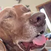 cash_jennings - @cash_jennings - TikTok