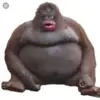 jenndale - @imthethicccoloringpage - TikTok
