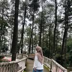jenn_Dyeraa - @fach_nvfy - Instagram