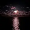 jenngeorge707 - @jenngeorge707 - TikTok