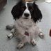 Jen Graham-Weston - Facebook