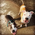 Jenn Graham - Facebook