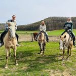 Jenn Graham Van Arsdale - @jen_van_arsdale - Instagram