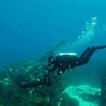 Jennifer Hopper - @globehopperjen - Instagram