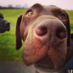 Jenn Howell - @tailsontourphotography - Instagram
