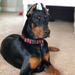 Jennifer Howell Kilcrease - @jennhkilcrease - Instagram