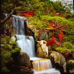 Jenny Howell - Facebook