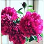 jenn lund - @jjlund71 - Instagram