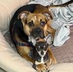 Jenn Mackinnon Byron - Facebook