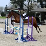 Jenn Marshall - @_.jenn.equestrian._ - Instagram