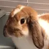 Jenn Marshall - @jennmarshall - TikTok