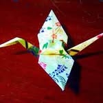 Jen McFadden - @jendeloslibros - Instagram