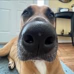 Jennifer McFadden - Facebook