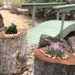 Jenn McLean - @edgewater_country_garden - Instagram