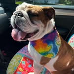 Jennifer Schiek Olson - @jenn_olson3 - Instagram