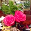 JennyJenny_8675305 - @jennphelps4 - TikTok